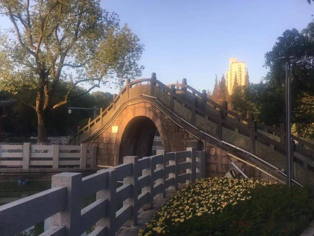 献县文化公园旅行图片 2