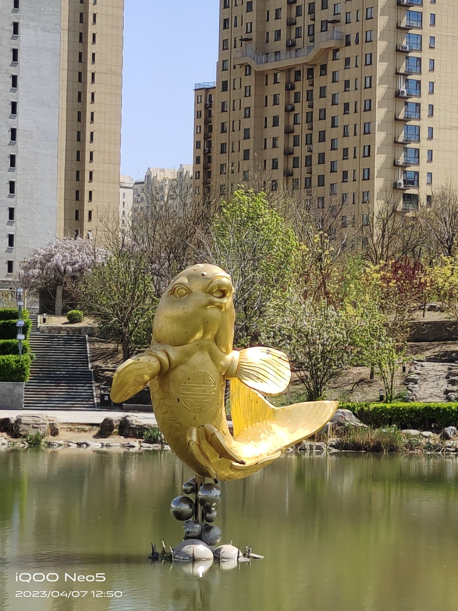 献县文化公园旅行图片 3