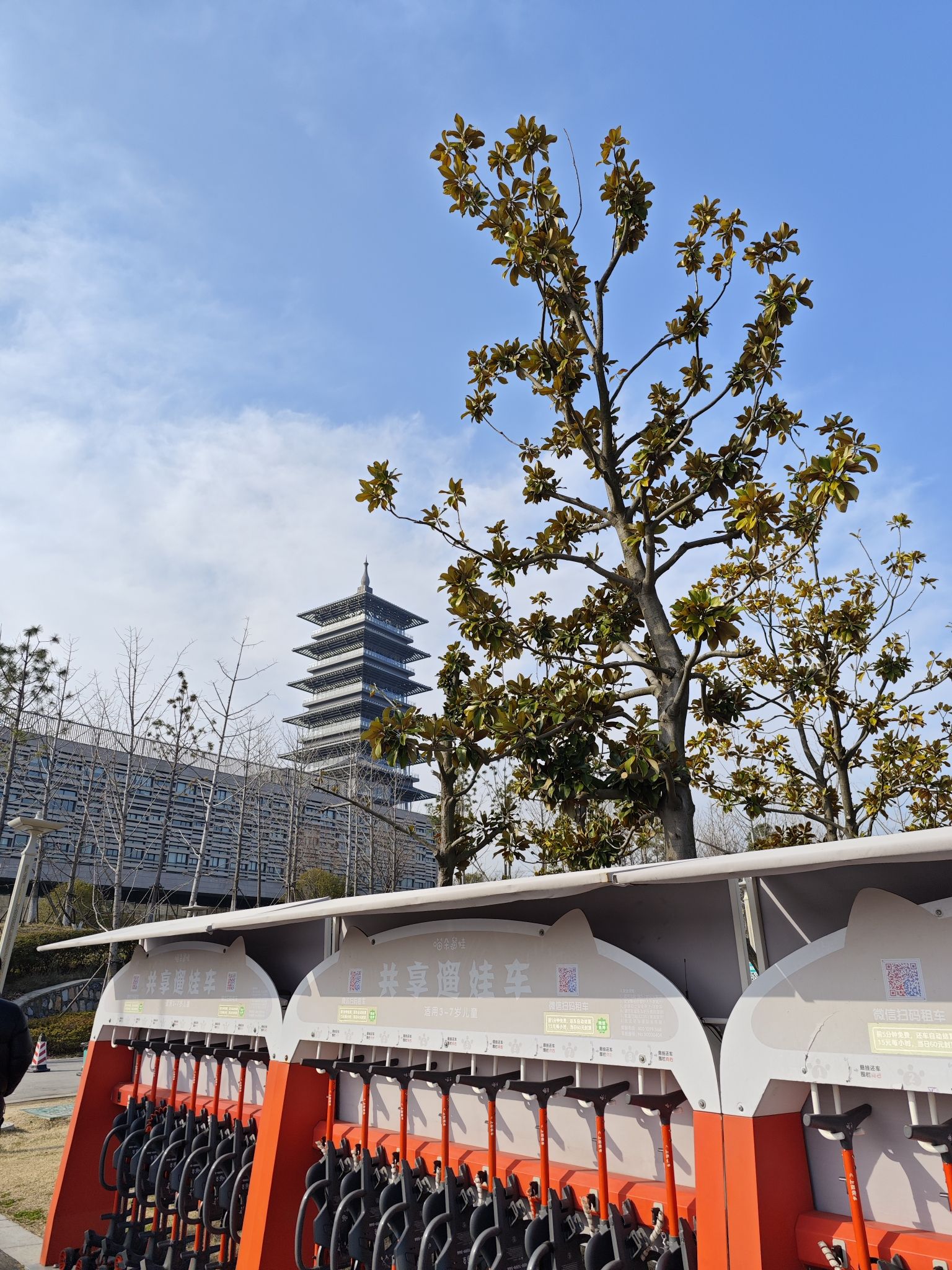运河三湾景区旅行图片 1