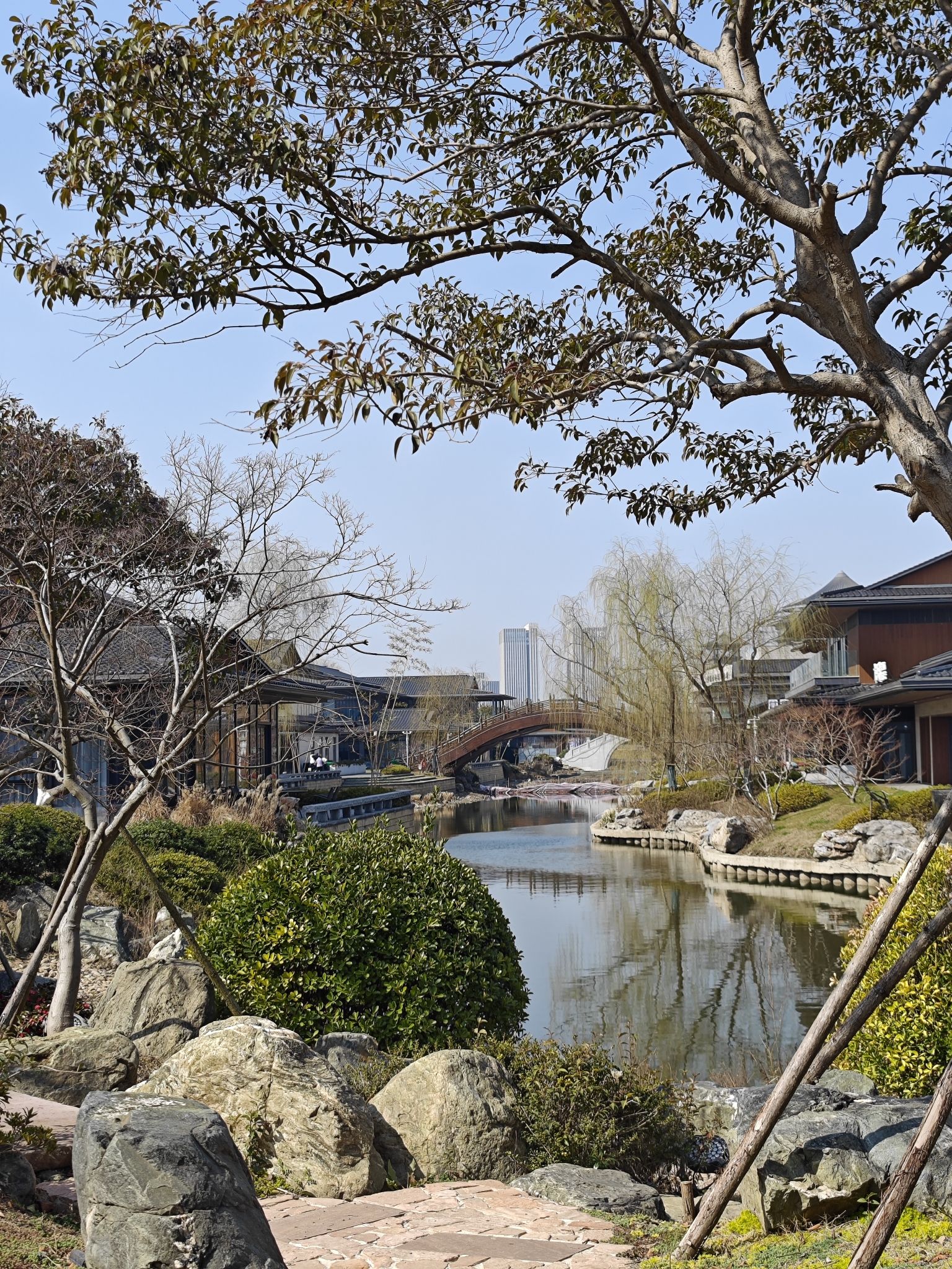 运河三湾景区旅行图片 3