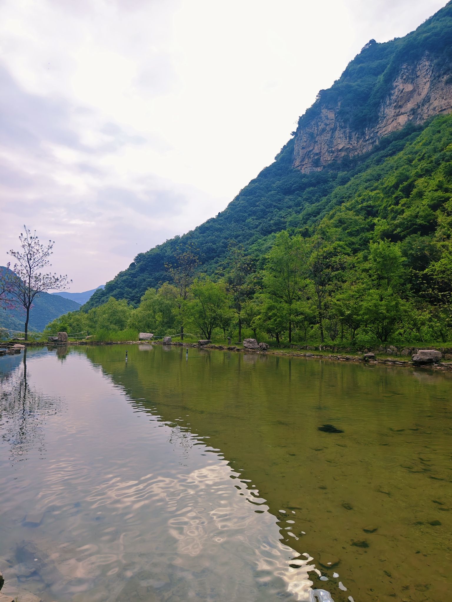 游仙湖