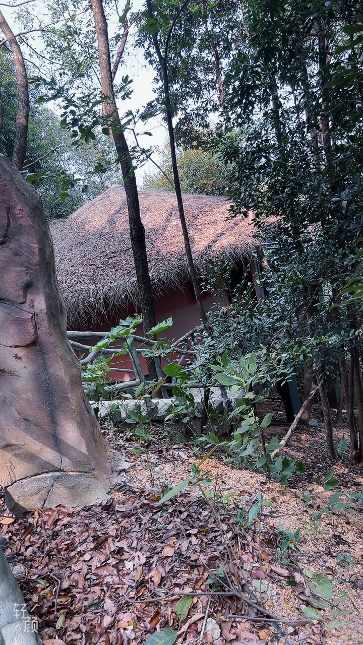 不老泉养生养老度假村旅行图片 1