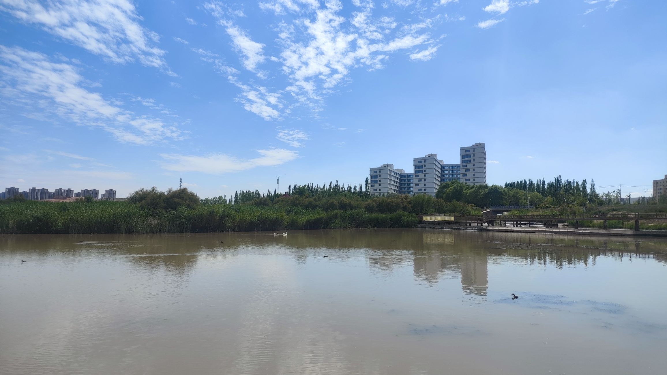 兰州秦王川国家湿地公园