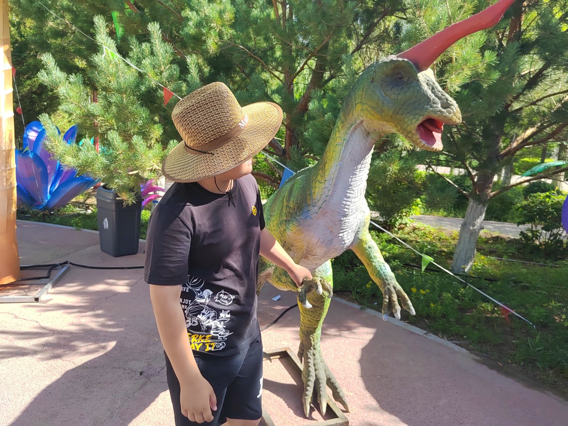 中央公园旅行图片 3