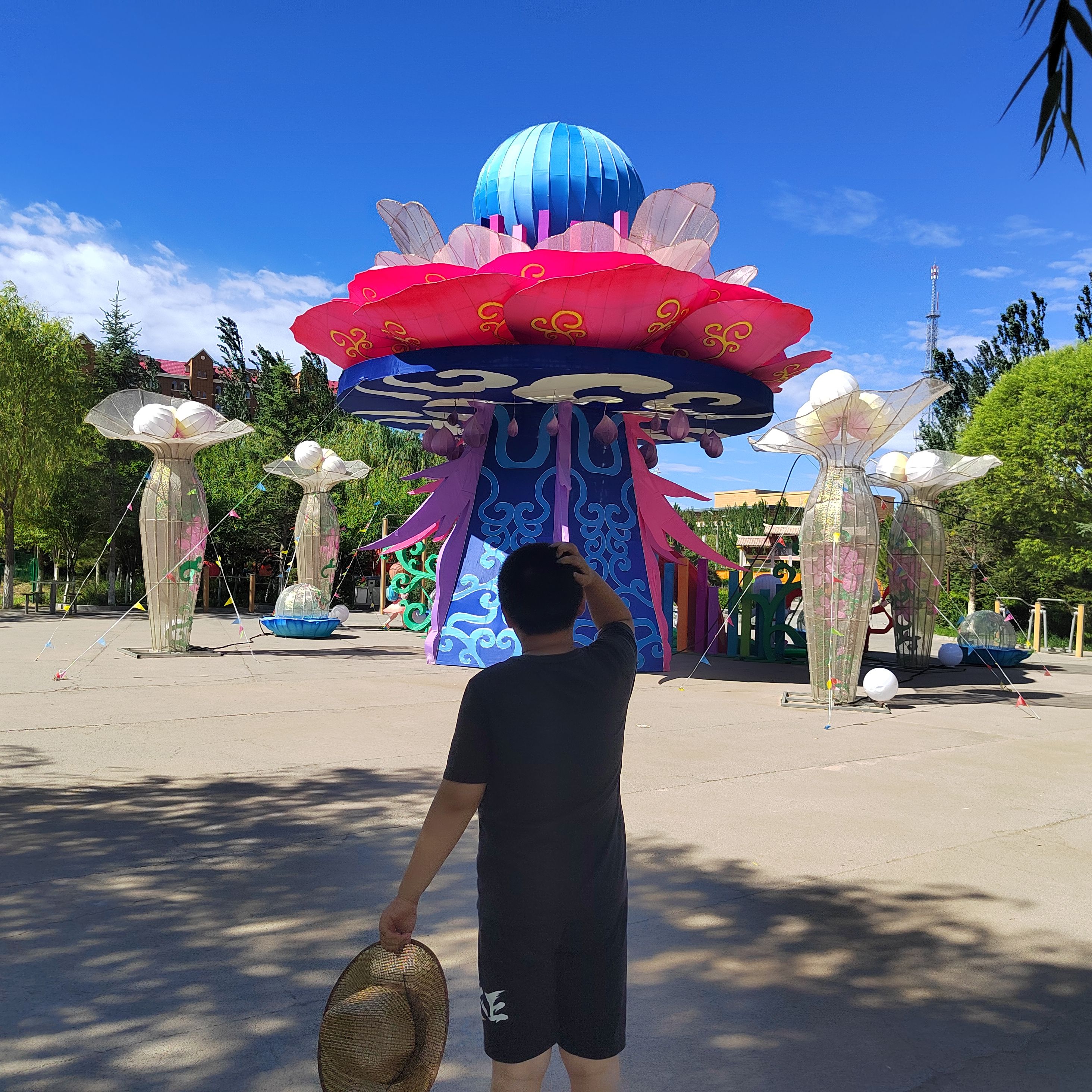 中央公园旅行图片 1