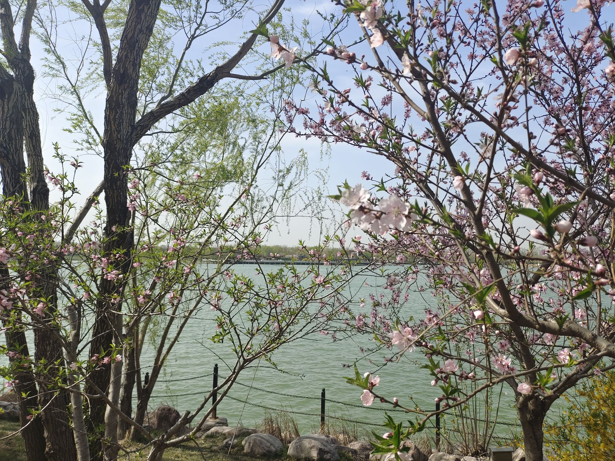 经开区平原湖公园旅行图片 3