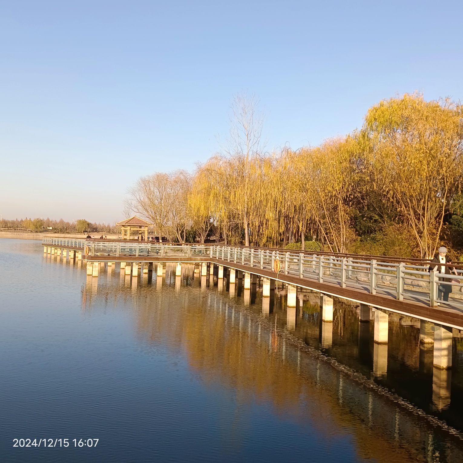 经开区平原湖公园旅行图片 3