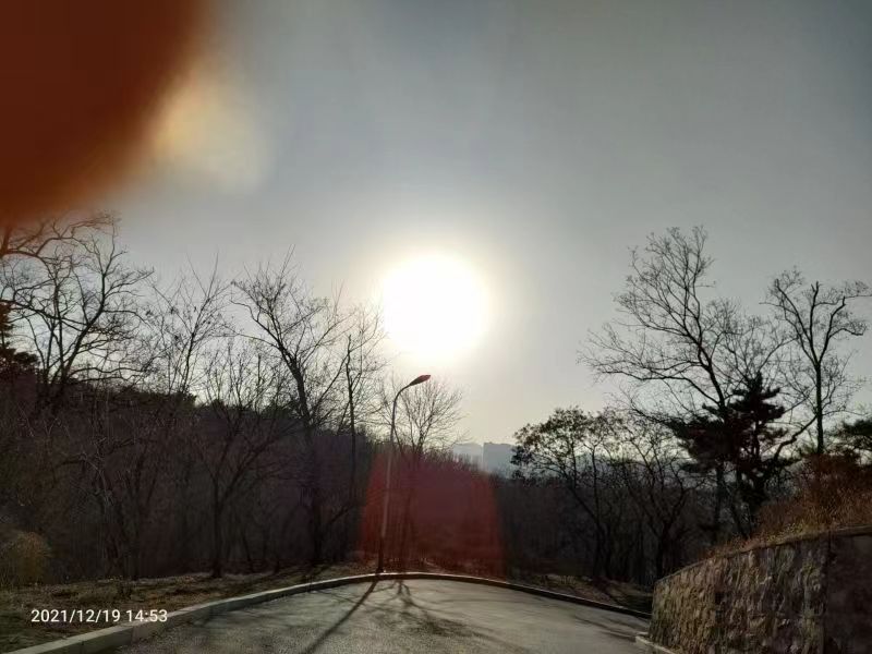 瓦房店南山公园旅行图片 2