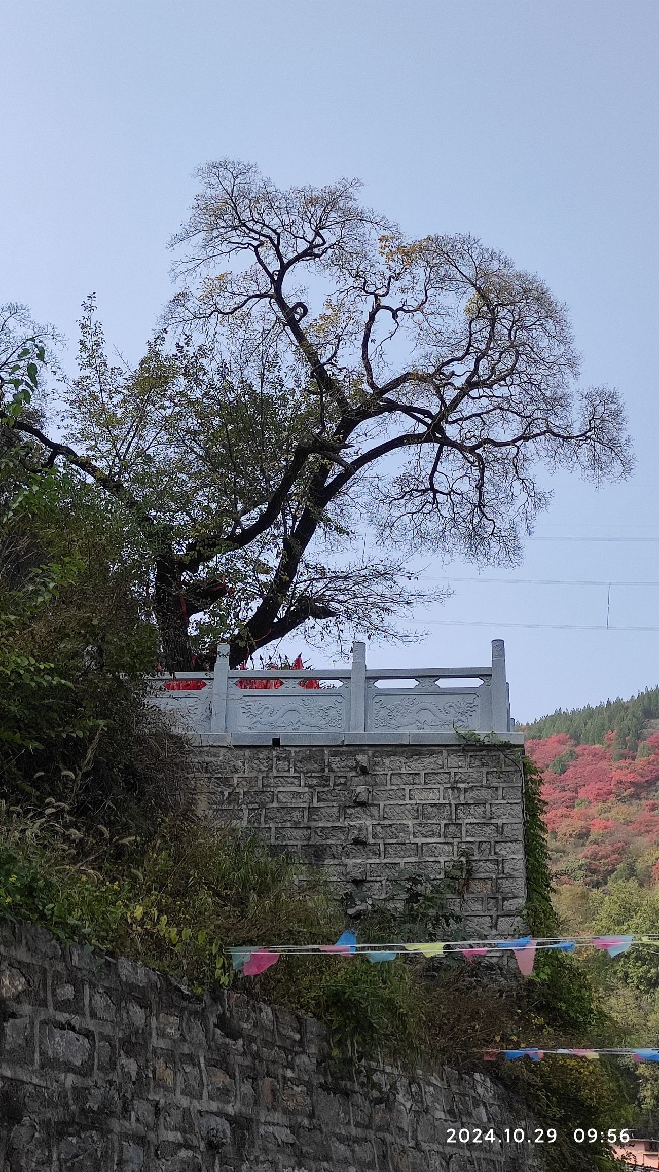 捎近风景区旅行图片 2