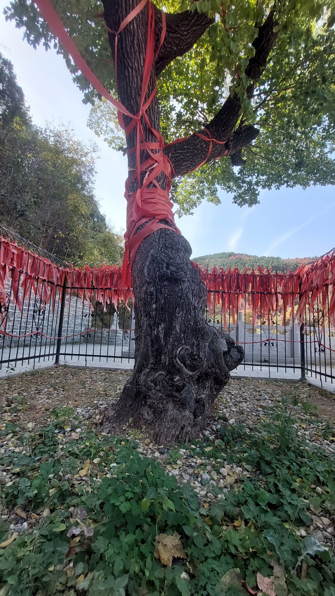 捎近风景区旅行图片 1