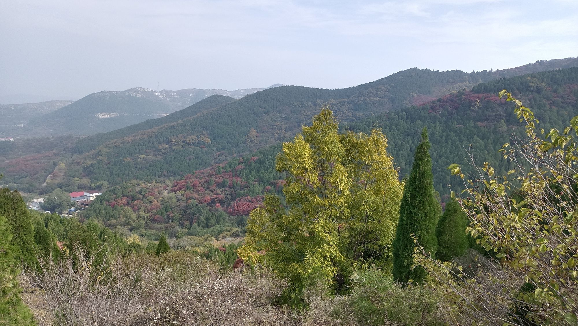 捎近风景区旅行图片 3