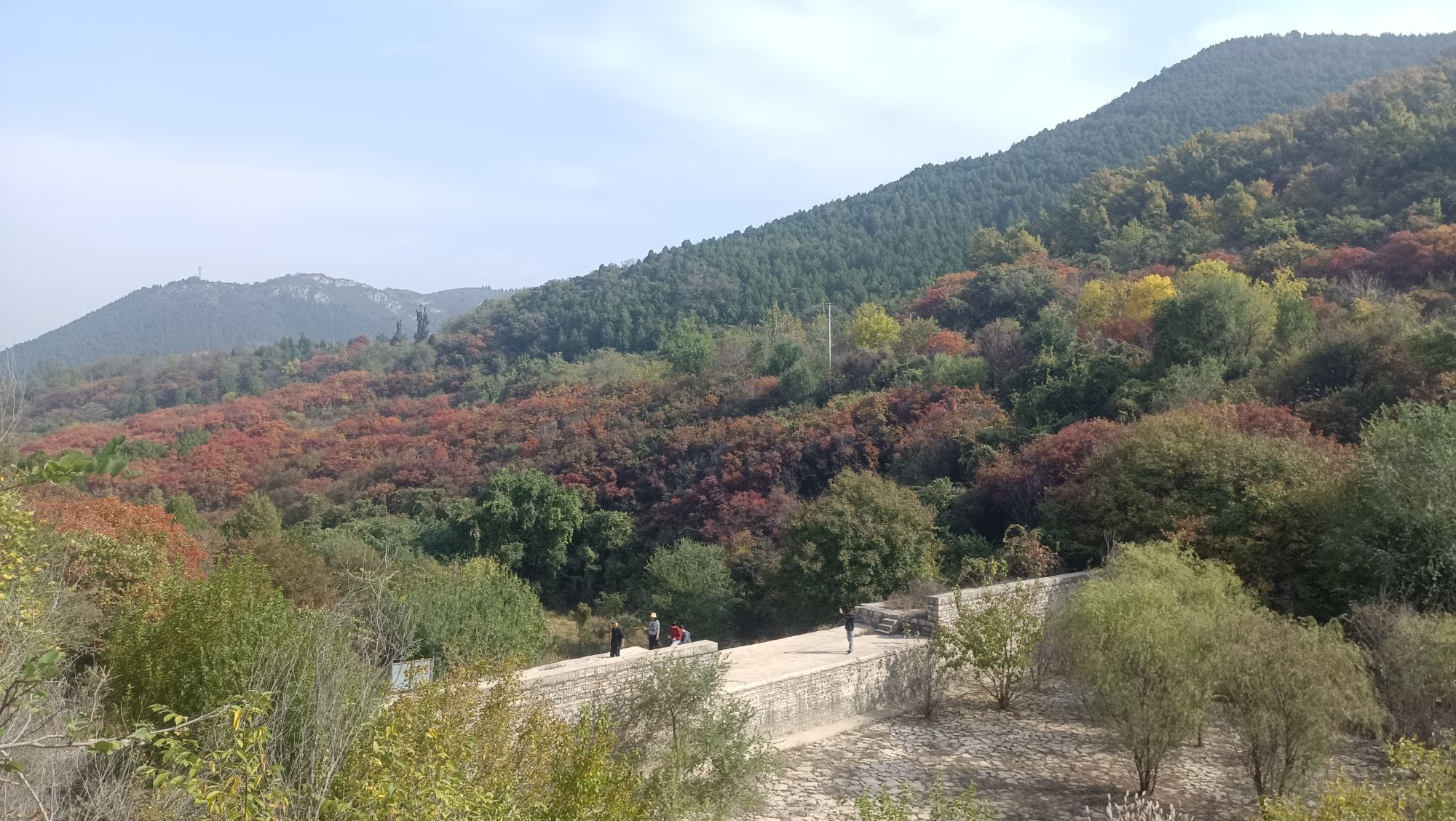 捎近风景区旅行图片 1