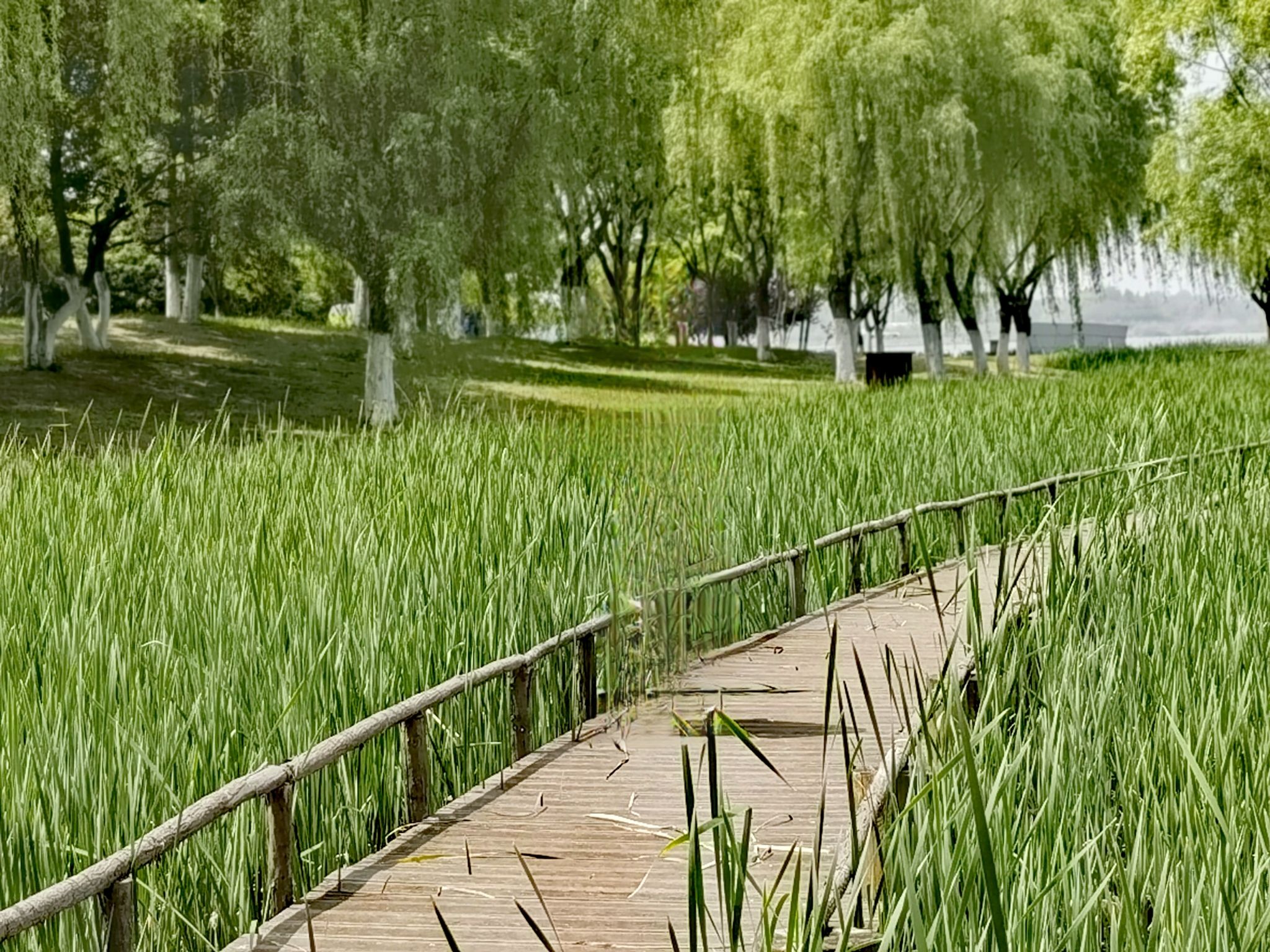 方兴湖公园旅行图片 2