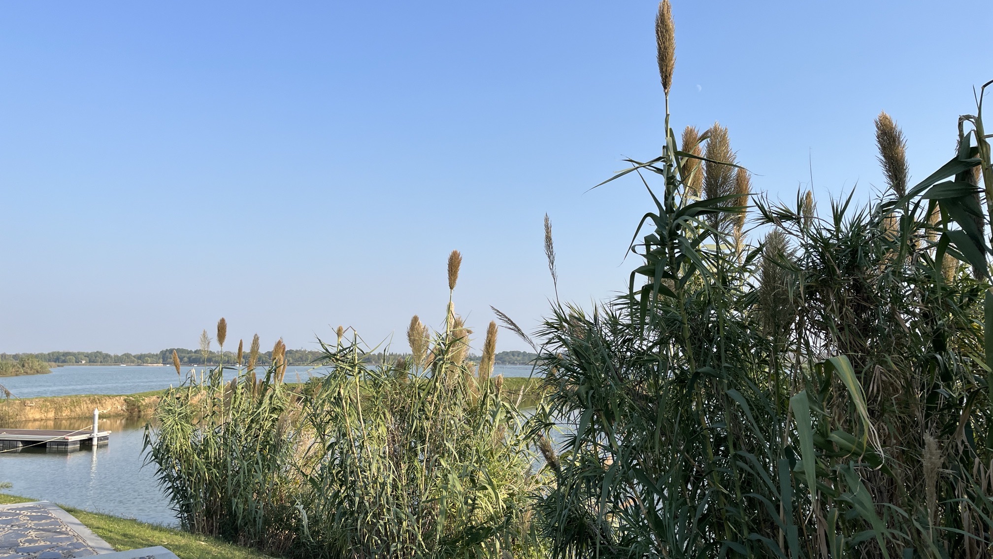 方兴湖公园旅行图片 2