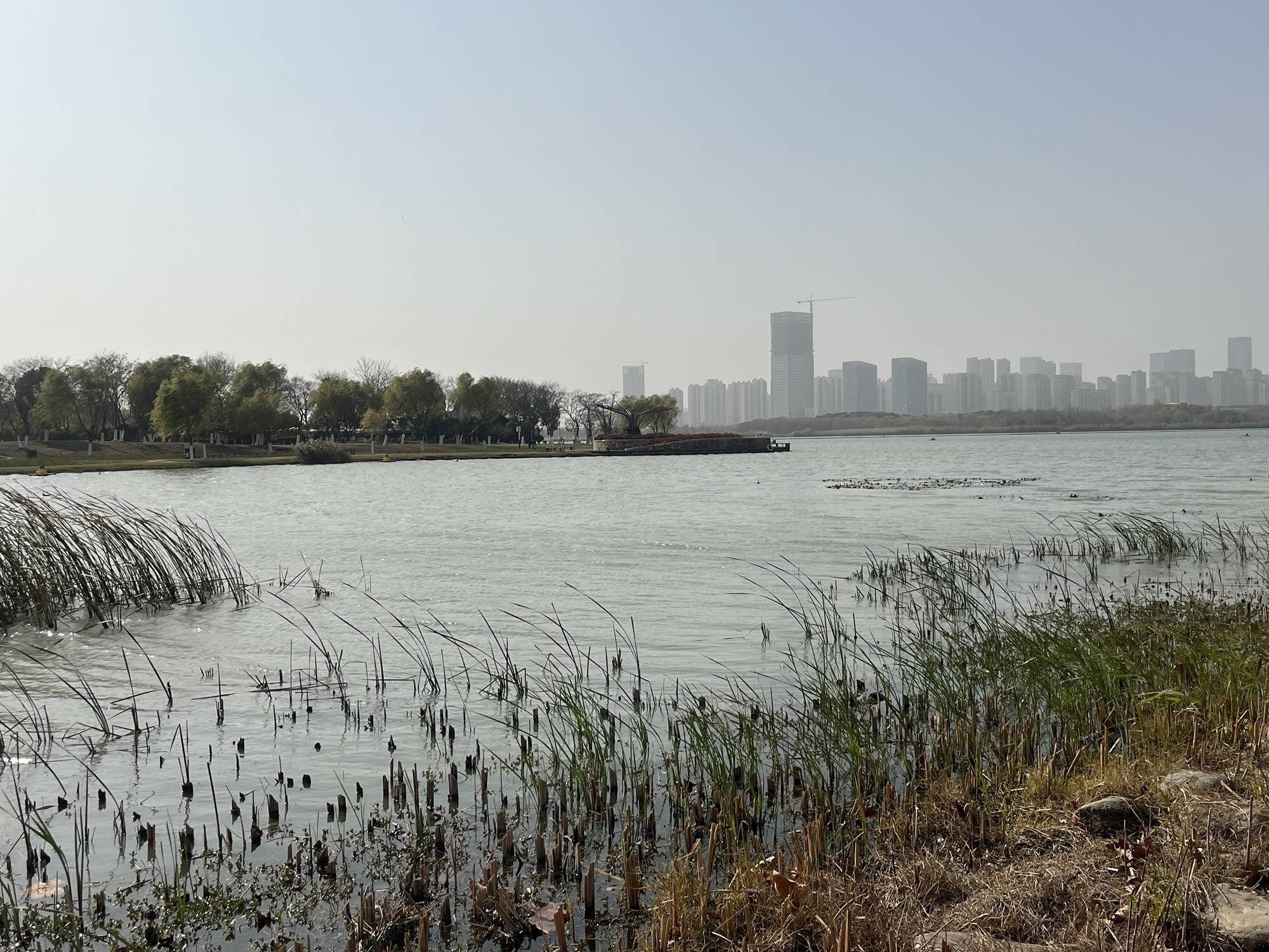 方兴湖公园旅行图片 3