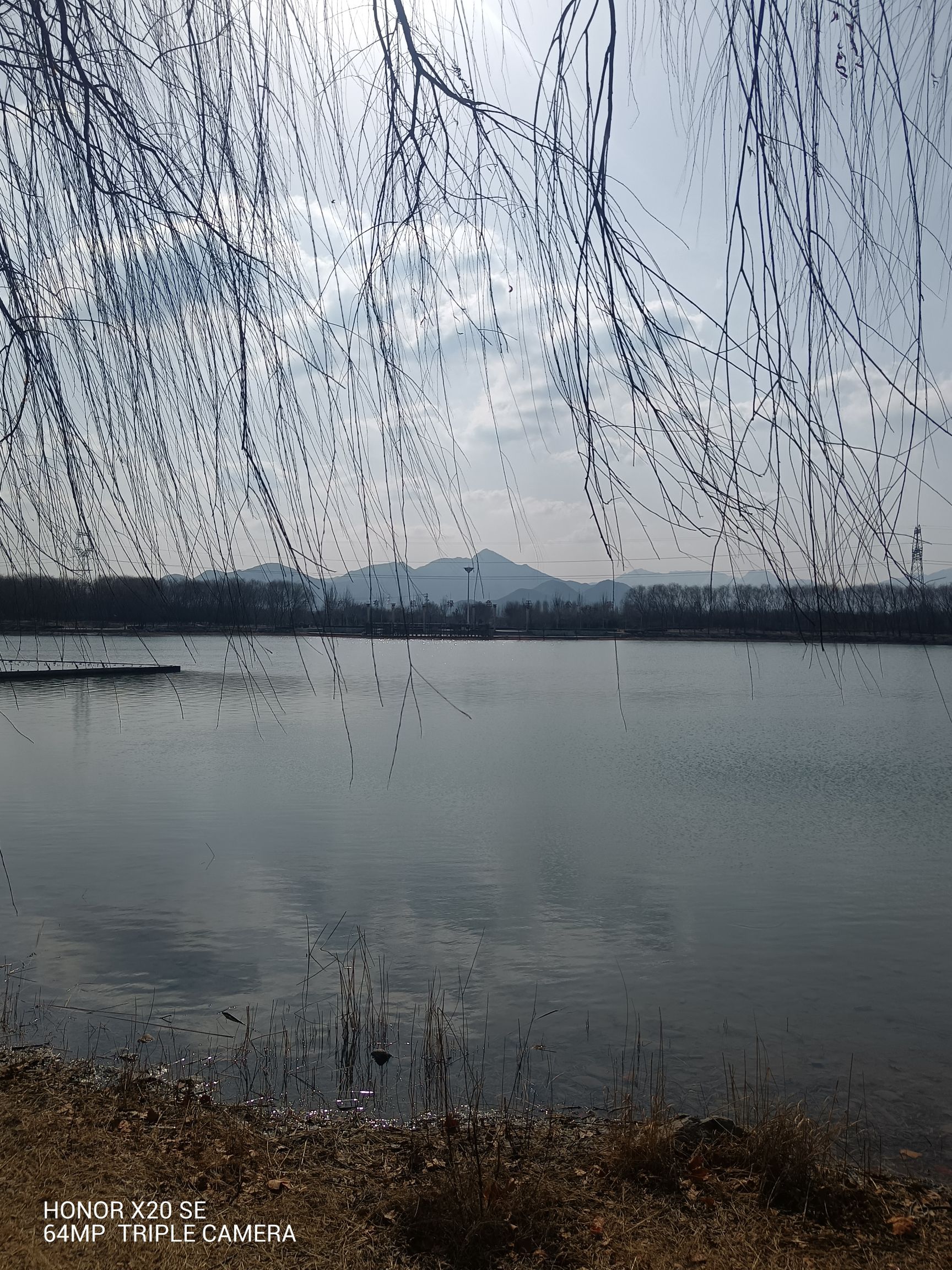 明集明湖公园旅行图片 3