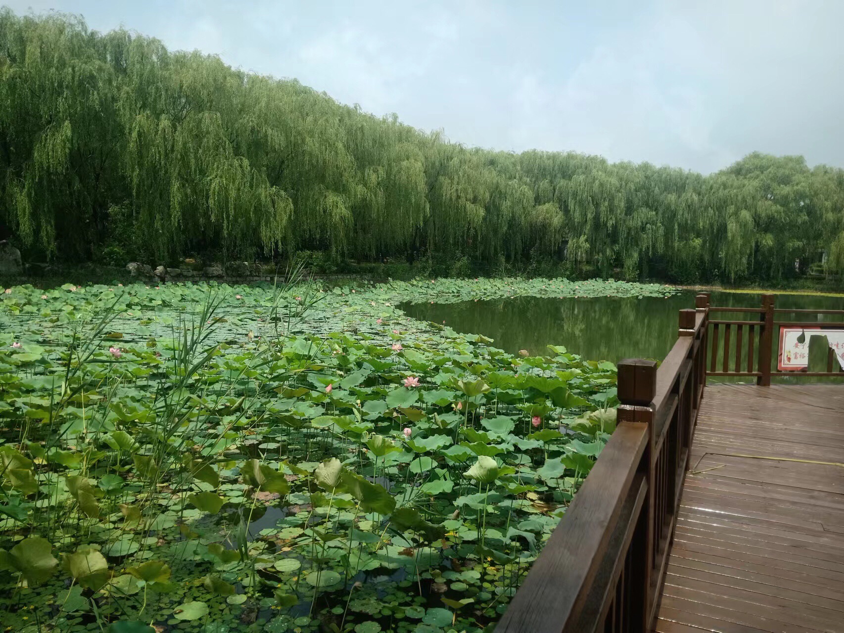 明集明湖公园旅行图片 1