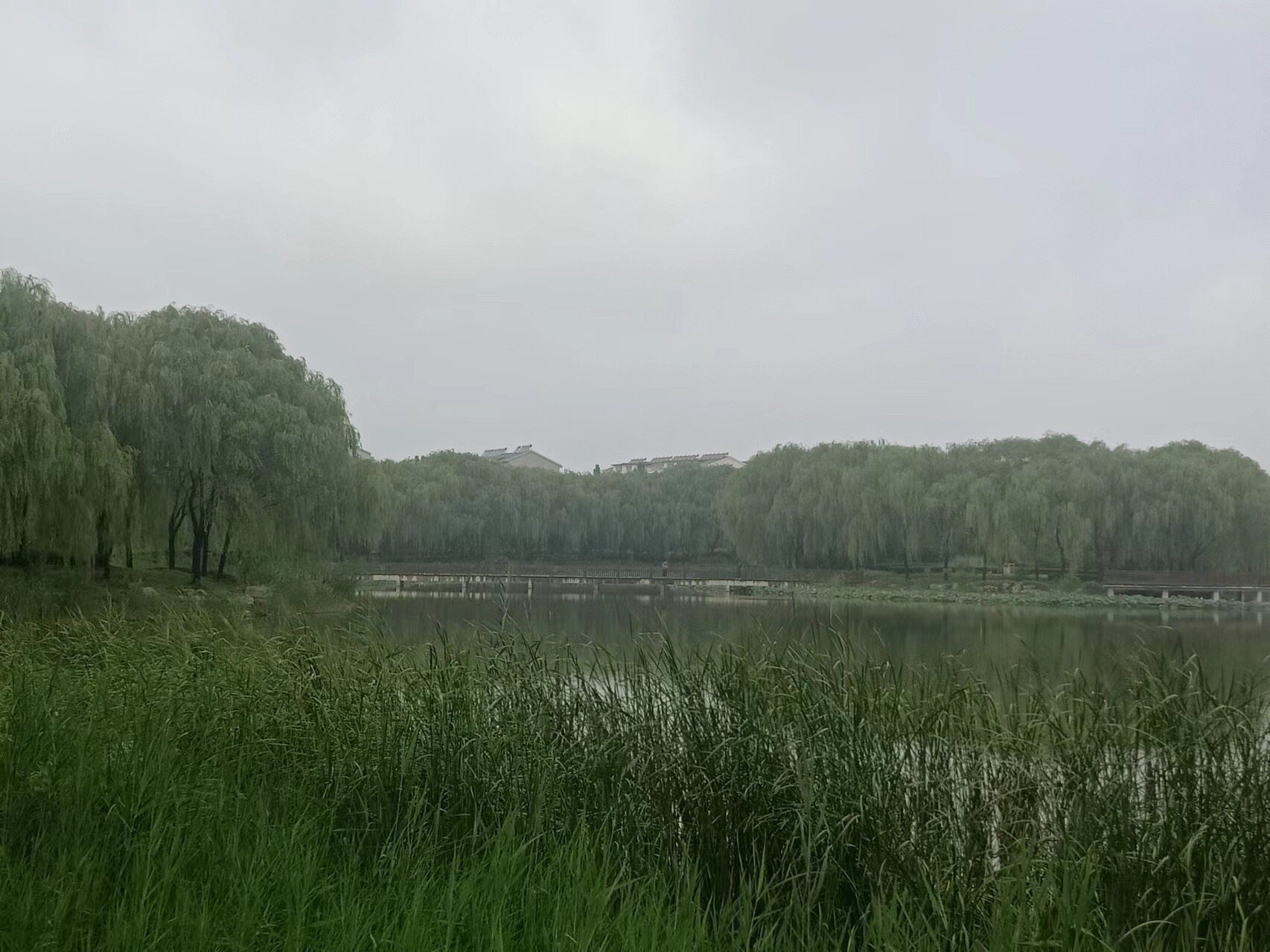明集明湖公园旅行图片 3