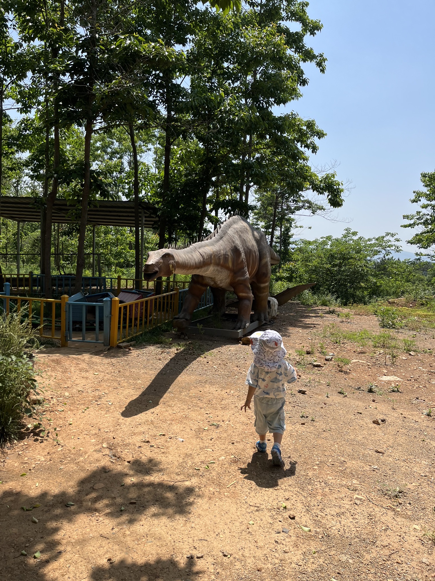 长山薰衣草彩虹小镇旅行图片 1