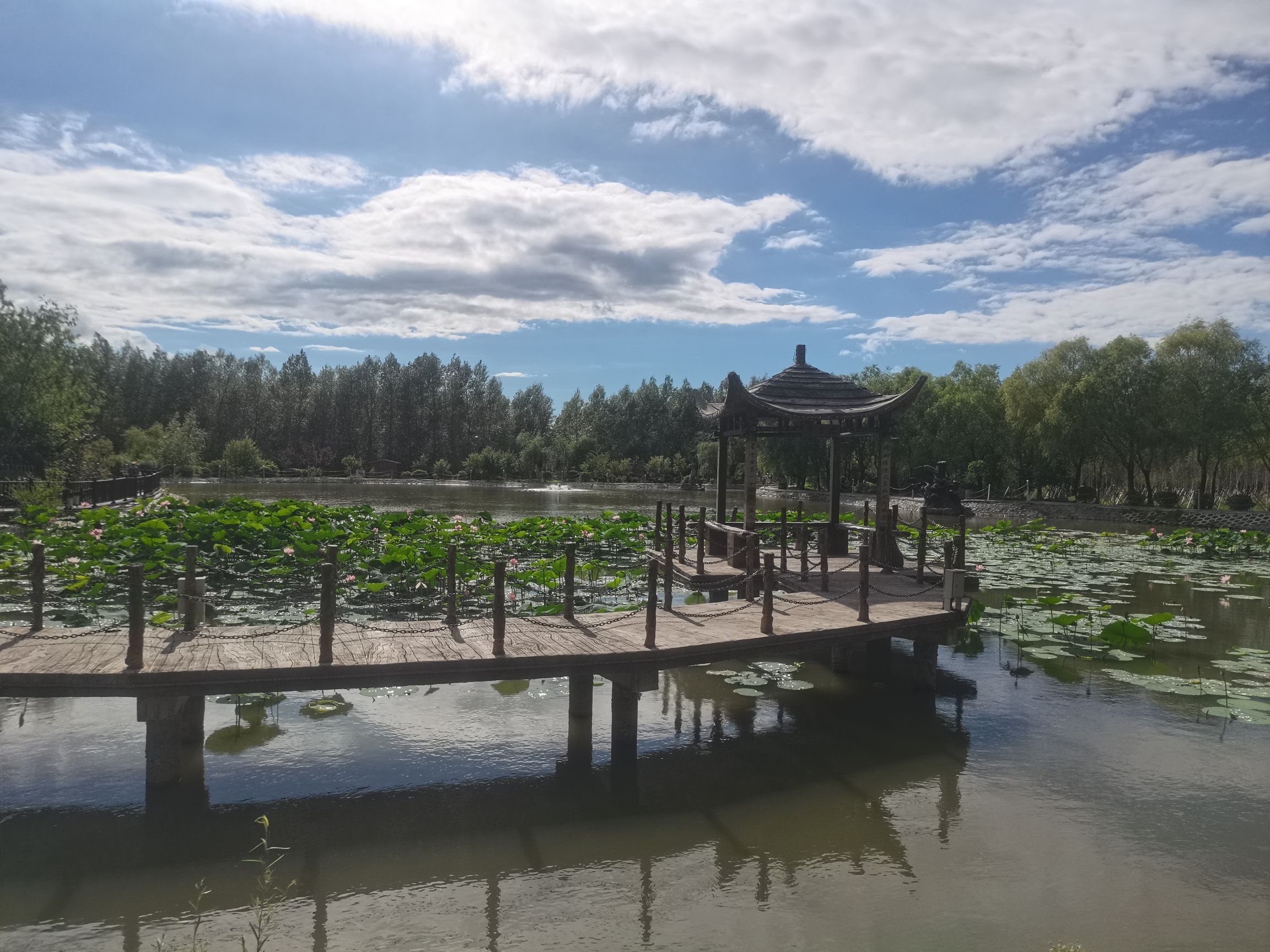依安植物园旅行图片 2