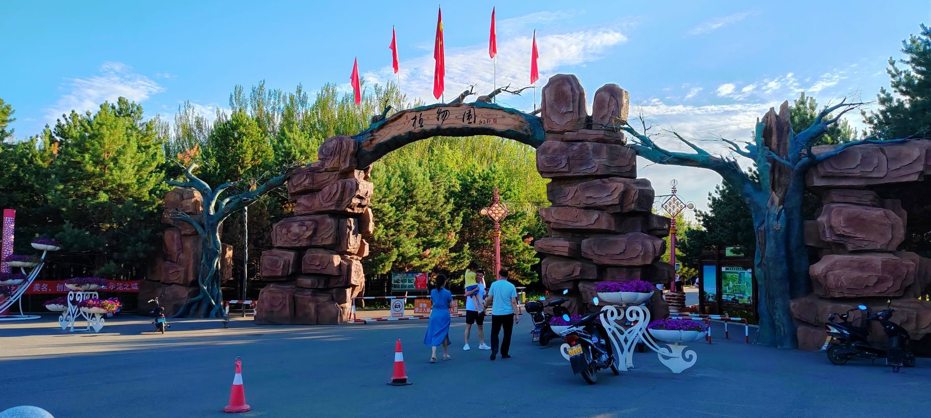 依安植物园旅行图片 1