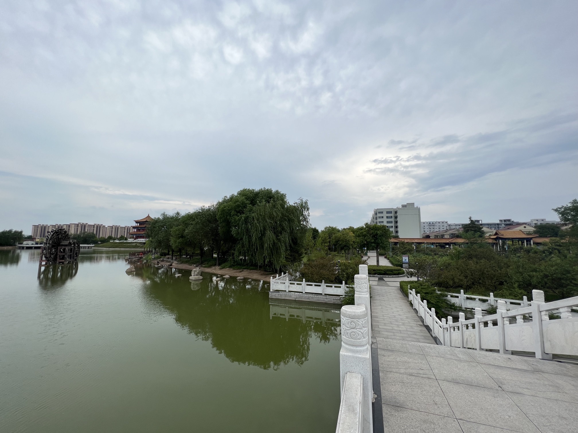 河津莲池公园旅行图片 2