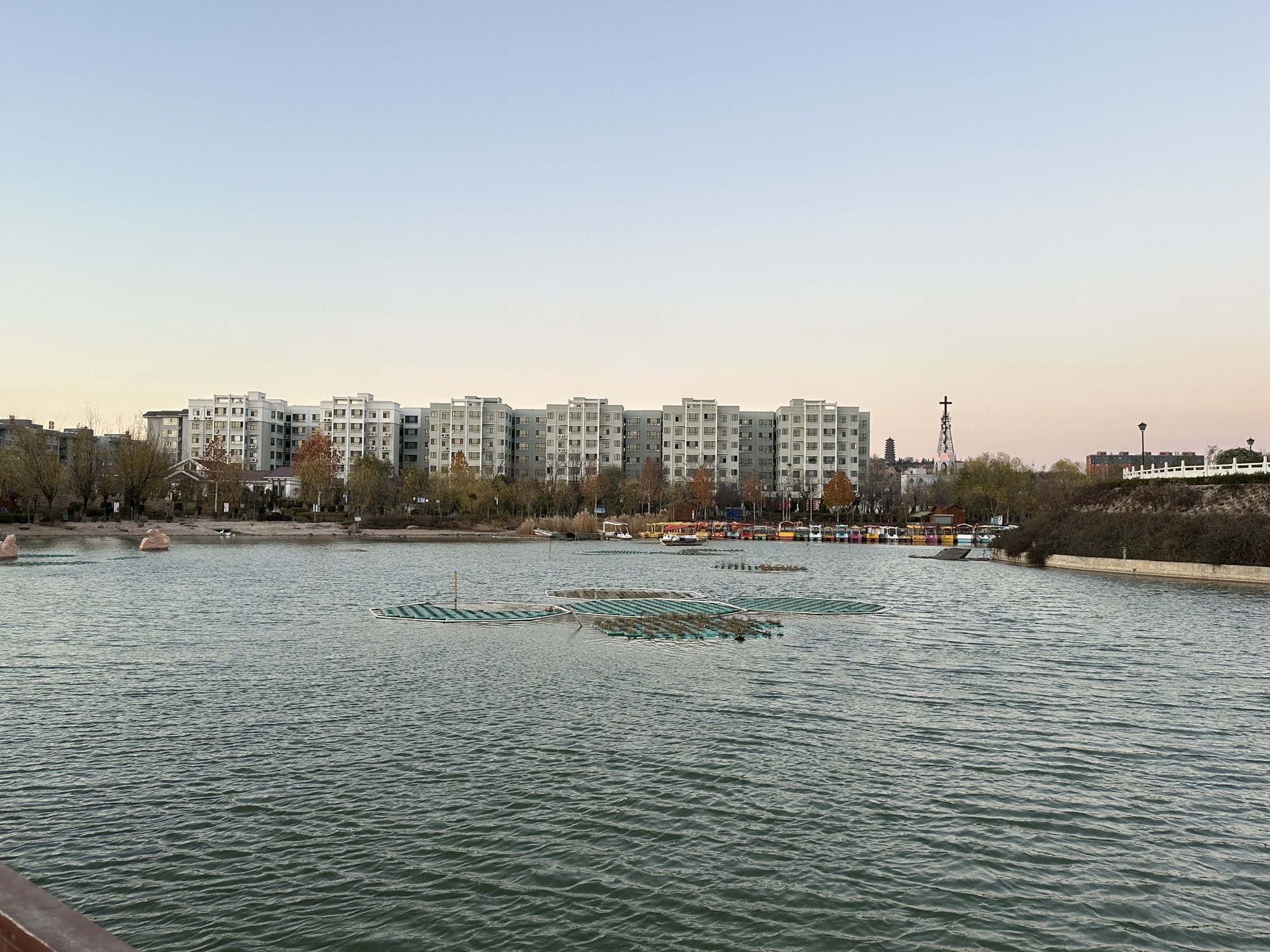 河津莲池公园旅行图片 3