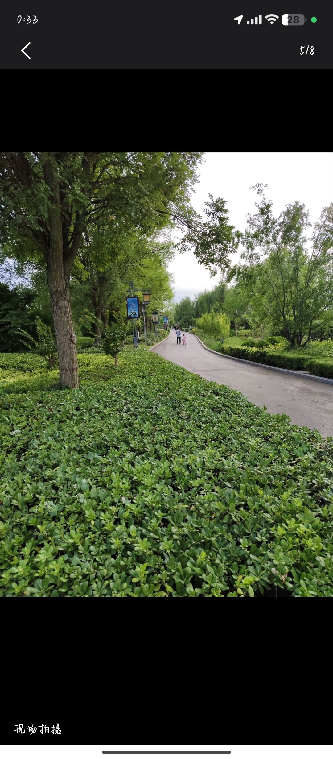 河津莲池公园旅行图片 2