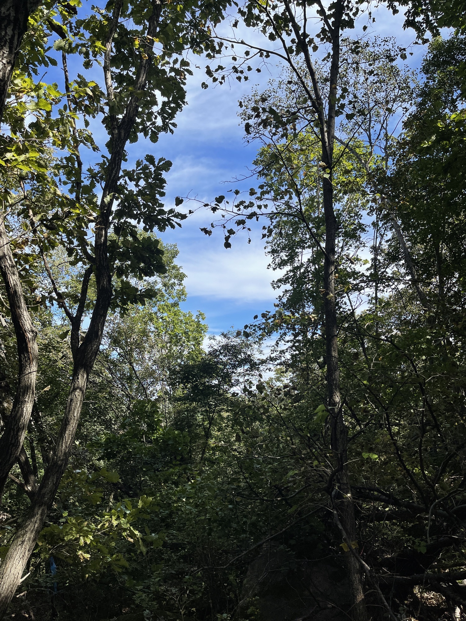 南岔仙翁山旅游景区旅行图片 2
