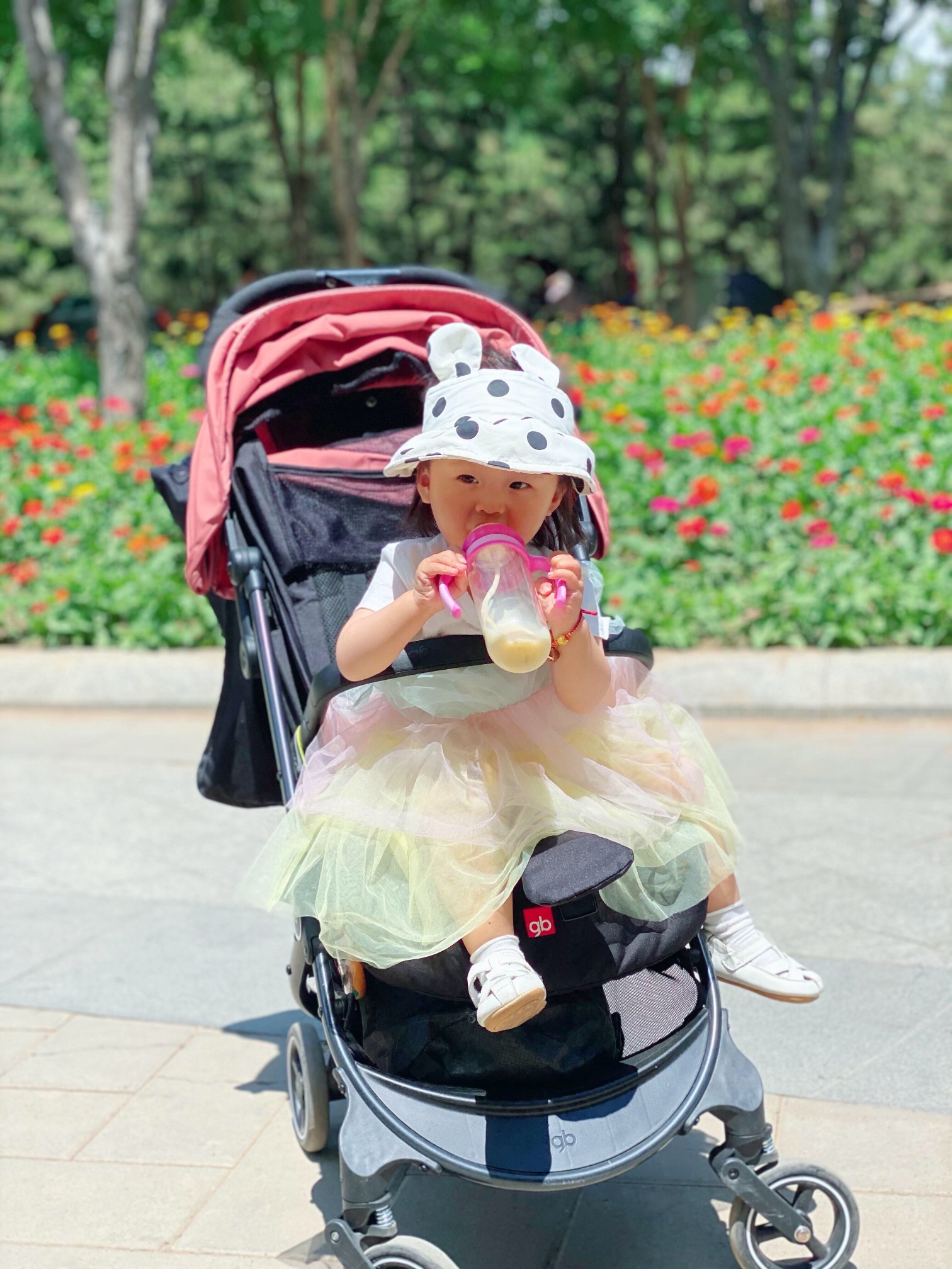 台湖公园旅行图片 1