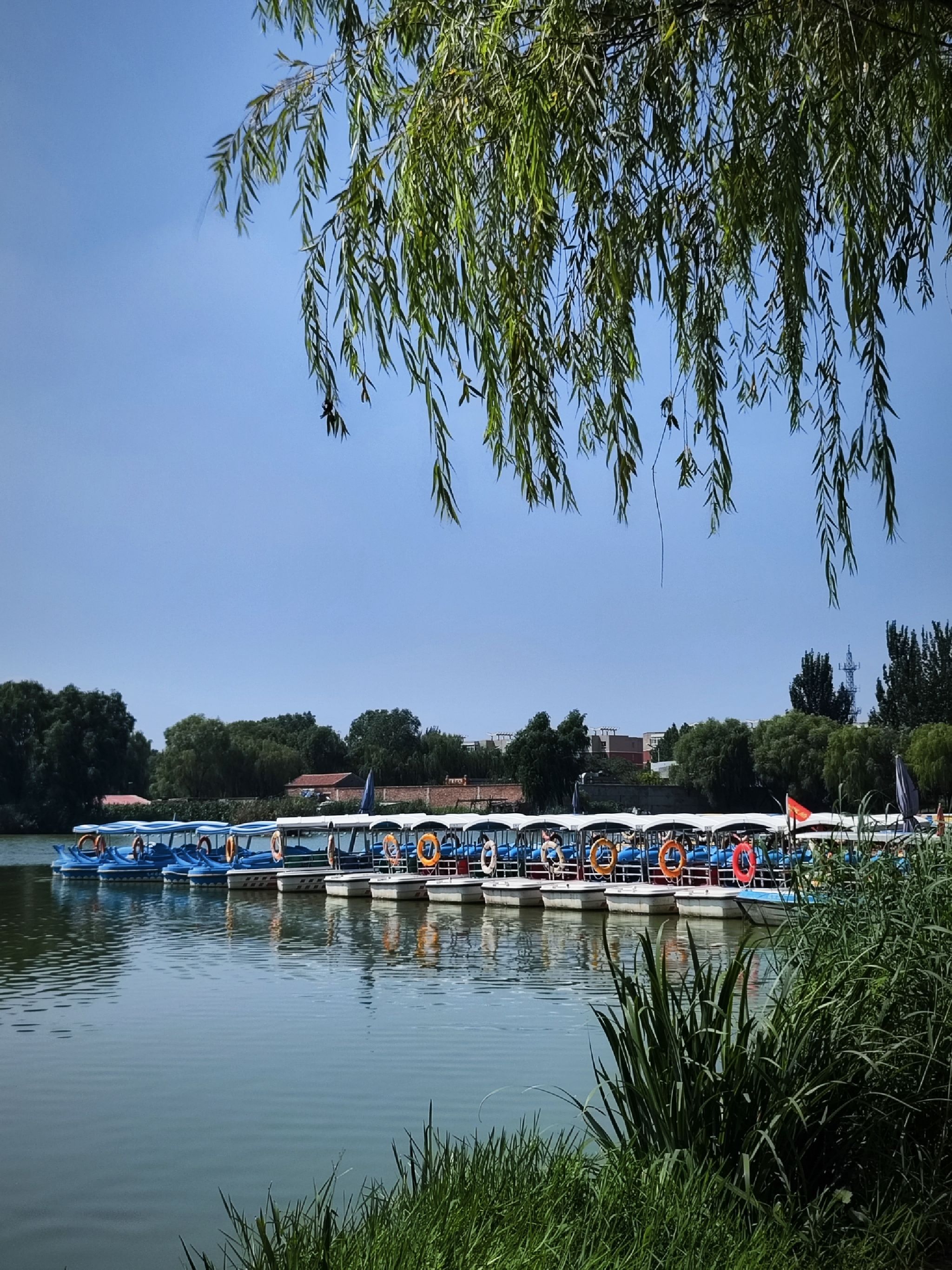 台湖公园旅行图片 2