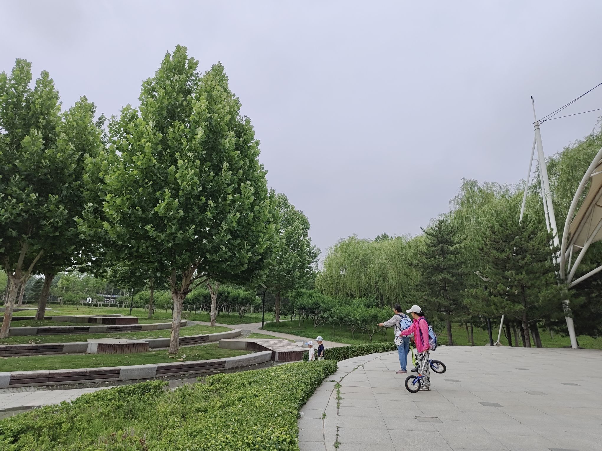 台湖公园旅行图片 3