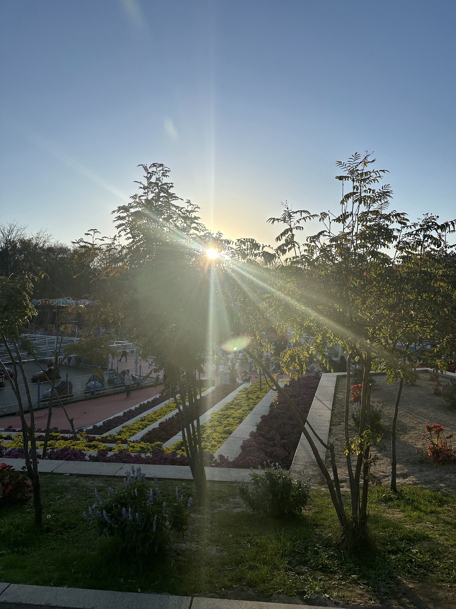 劳动公园旅行图片 3