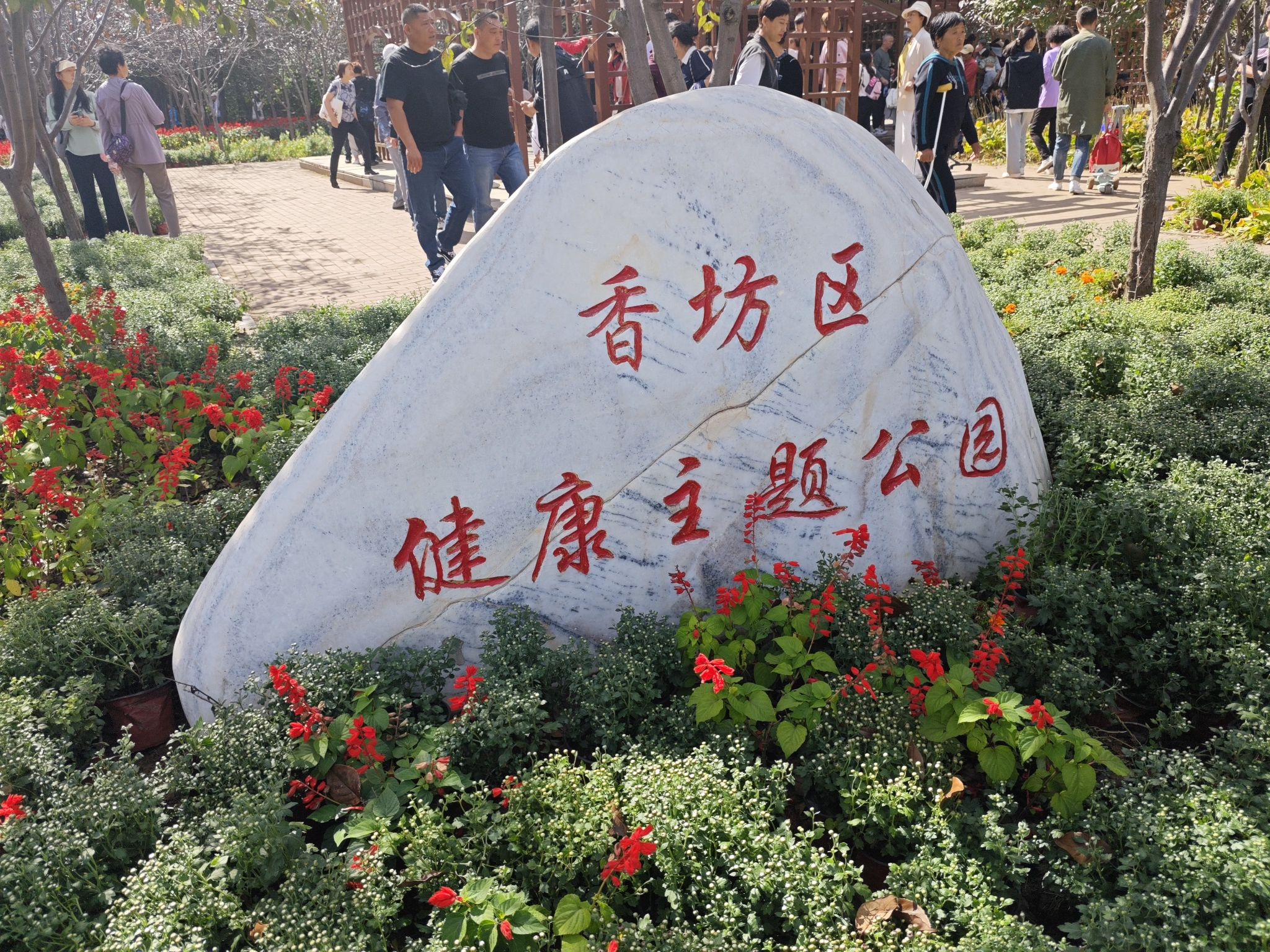 劳动公园旅行图片 3