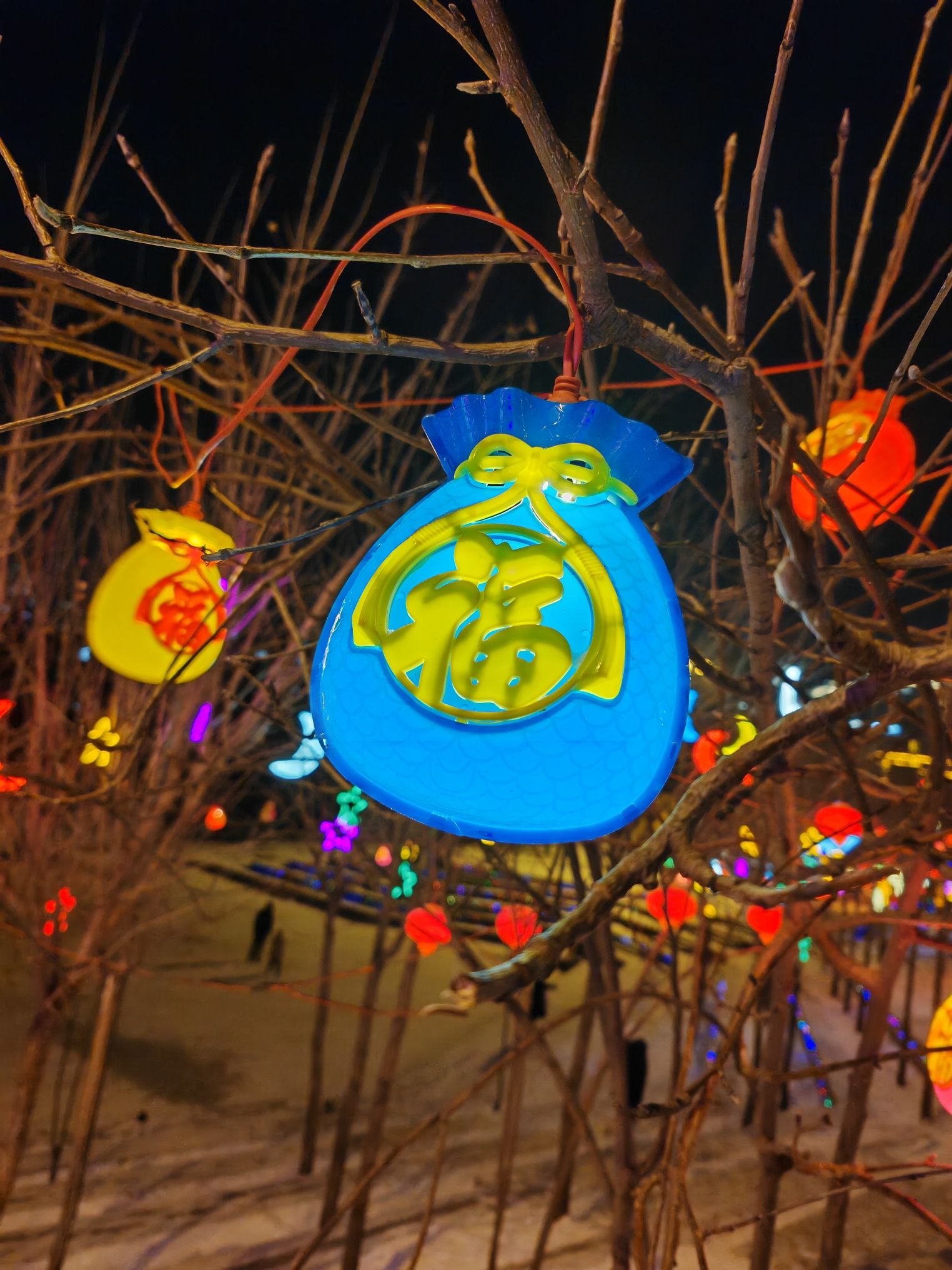 劳动公园旅行图片 1