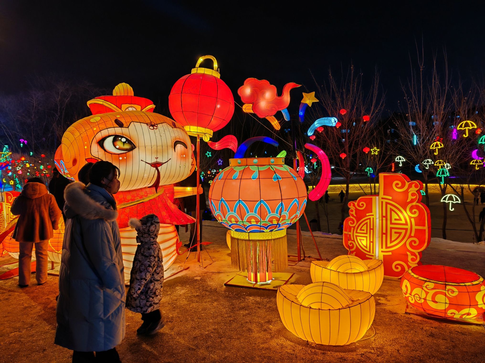 劳动公园旅行图片 2