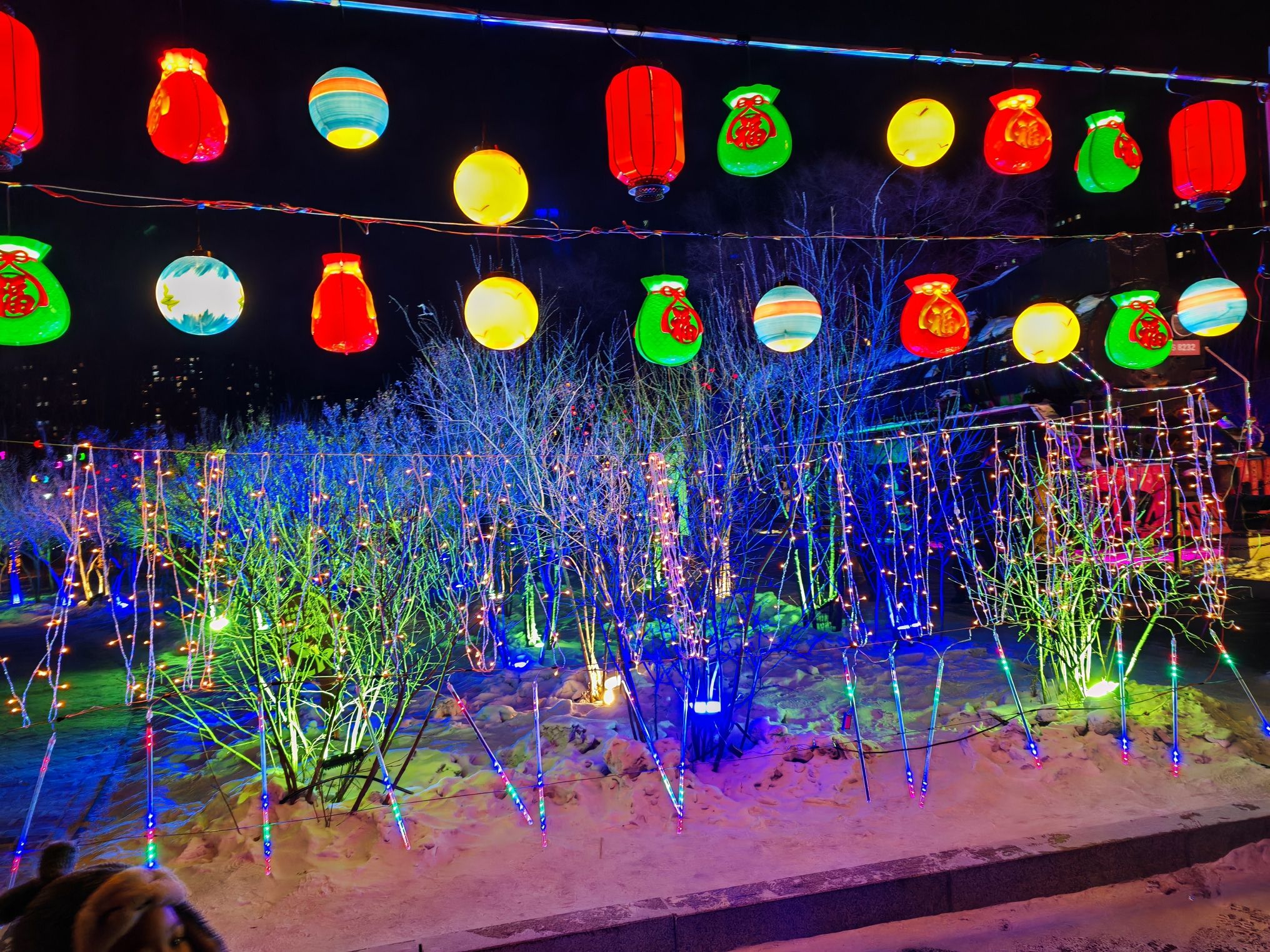 劳动公园旅行图片 3