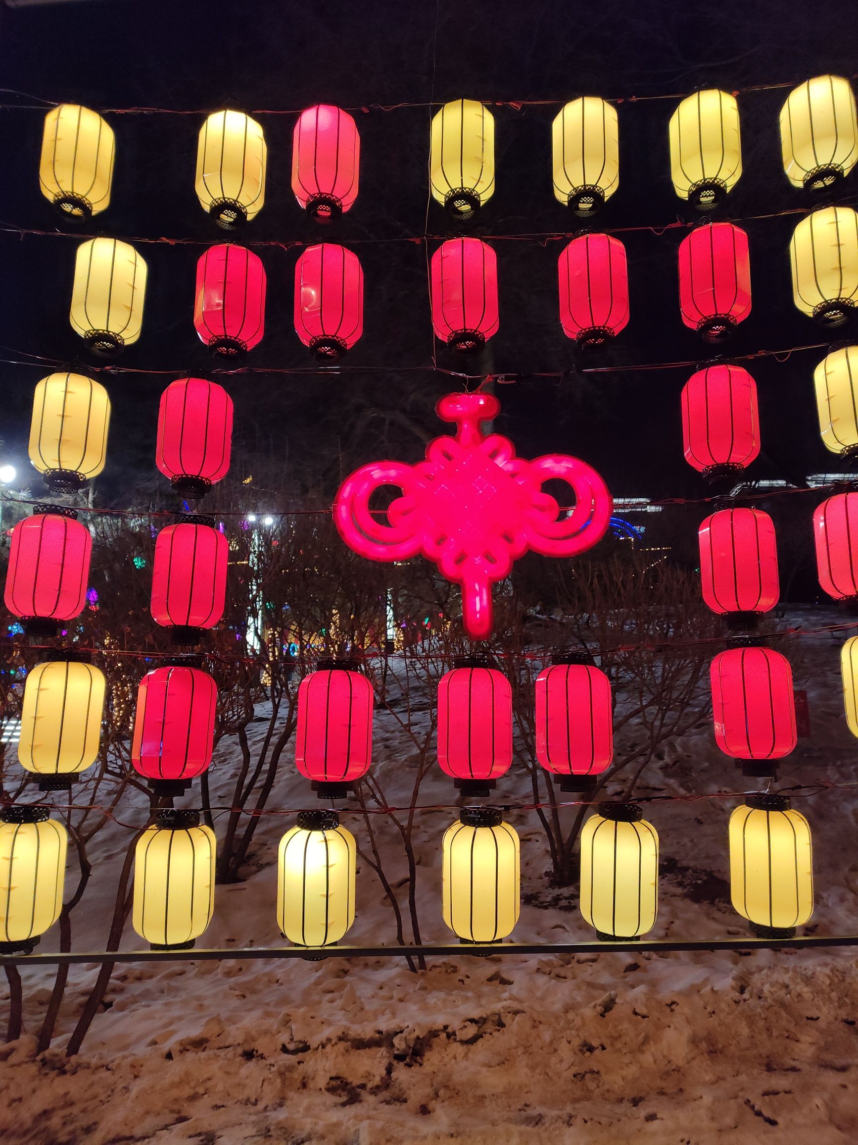 劳动公园旅行图片 3