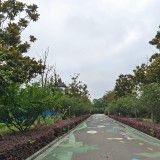 清莲园旅行图片 1
