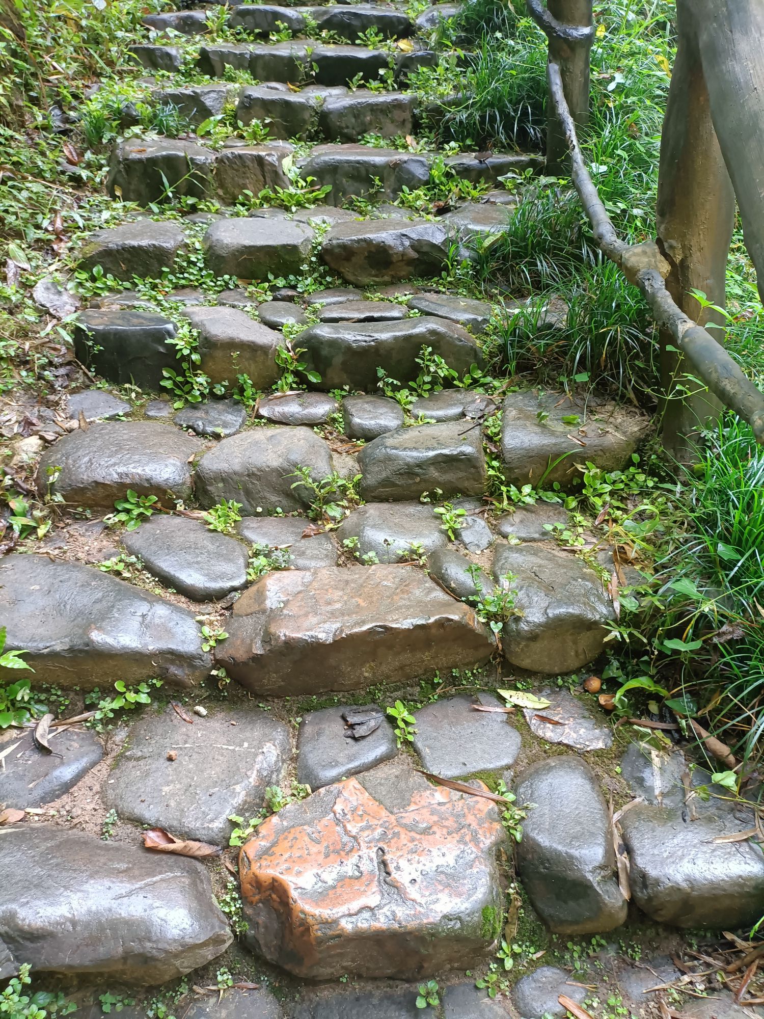 双田村三月三景区旅行图片 3