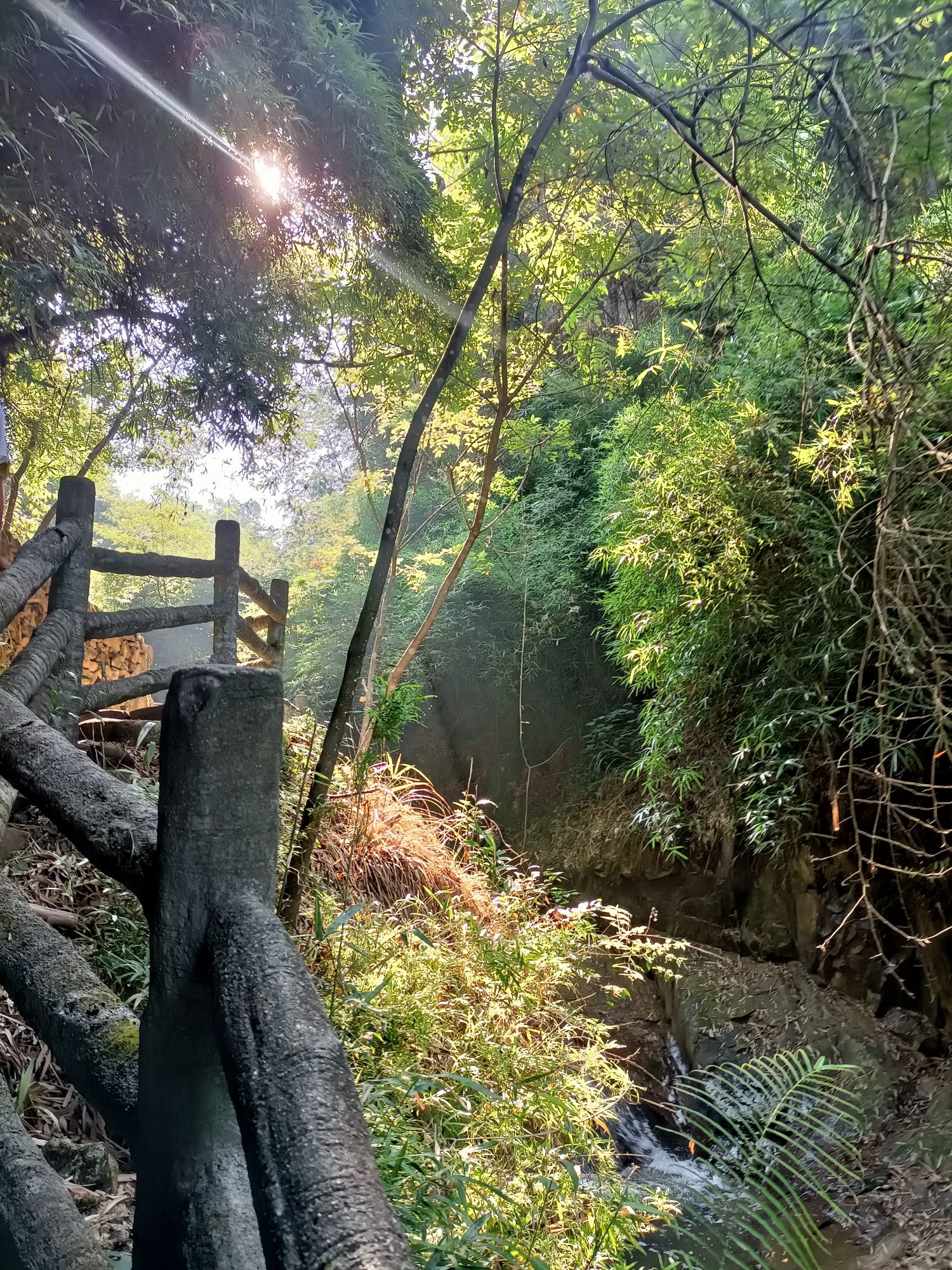双田村三月三景区旅行图片 2