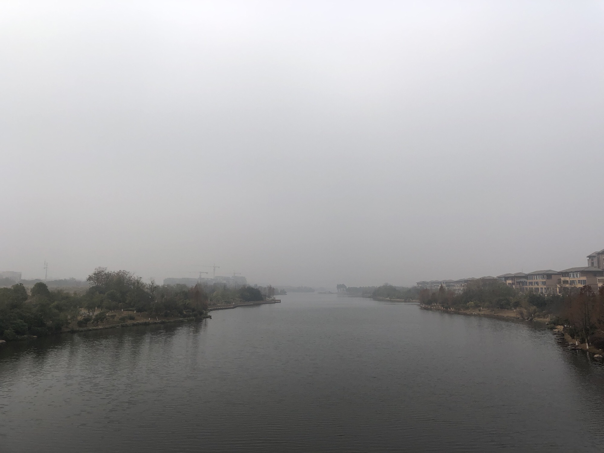 万丰湖湿地公园旅行图片 3