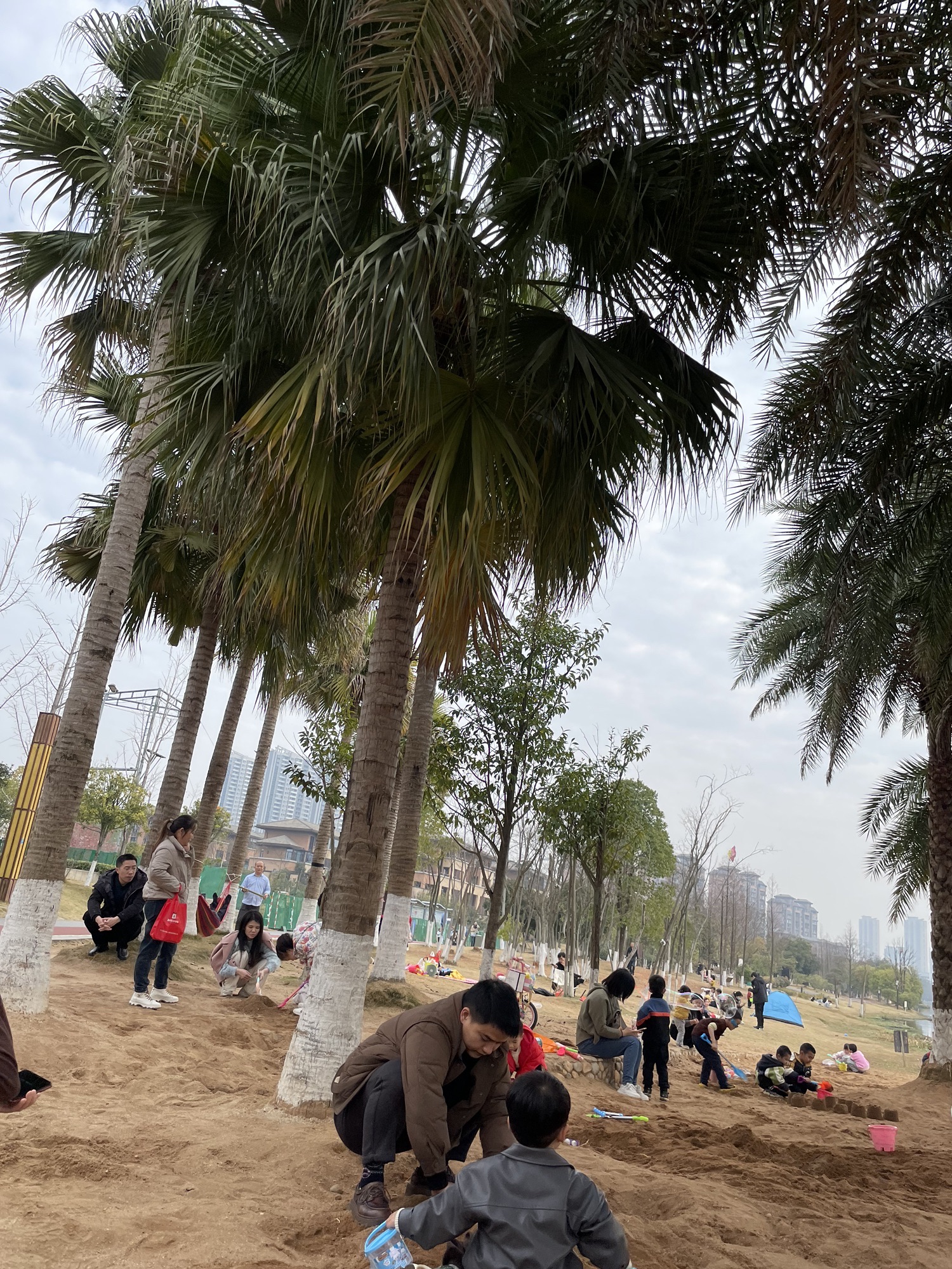 万丰湖湿地公园旅行图片 1
