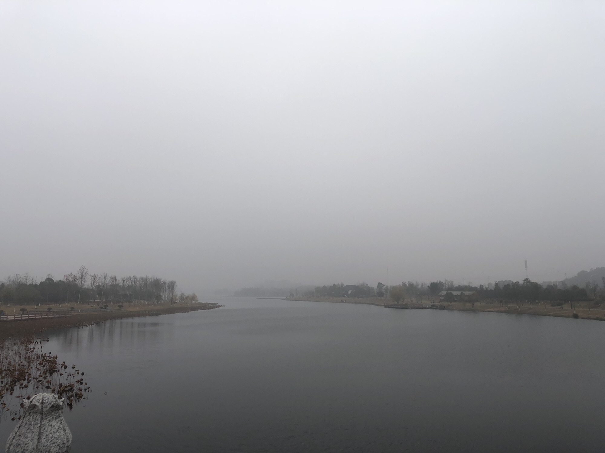 万丰湖湿地公园旅行图片 1