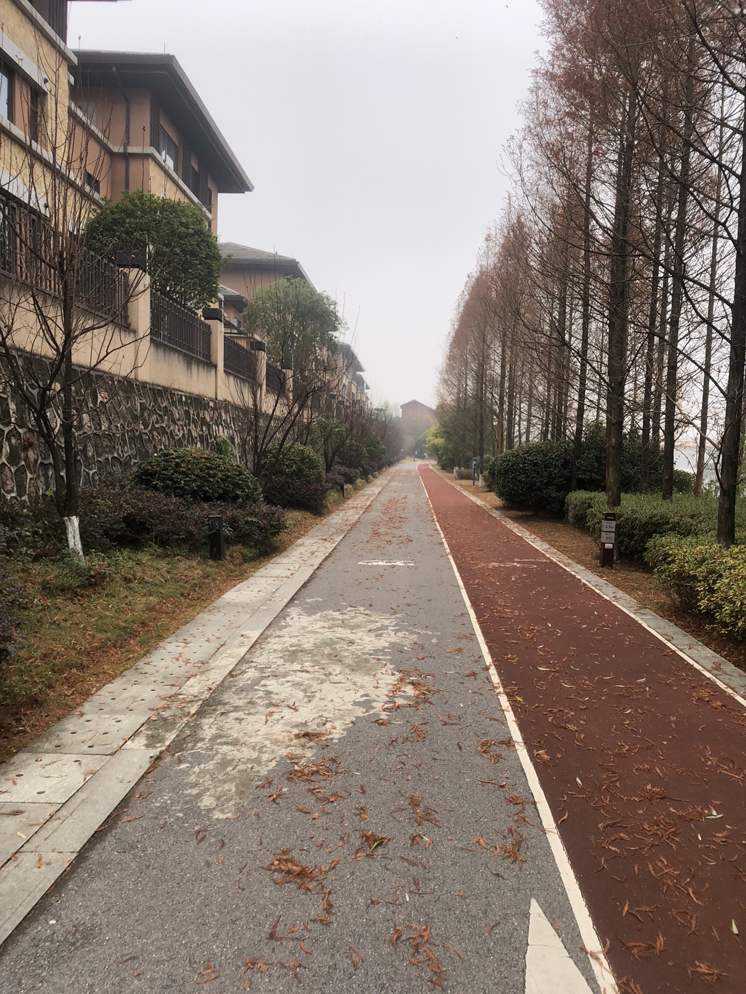 万丰湖湿地公园旅行图片 2