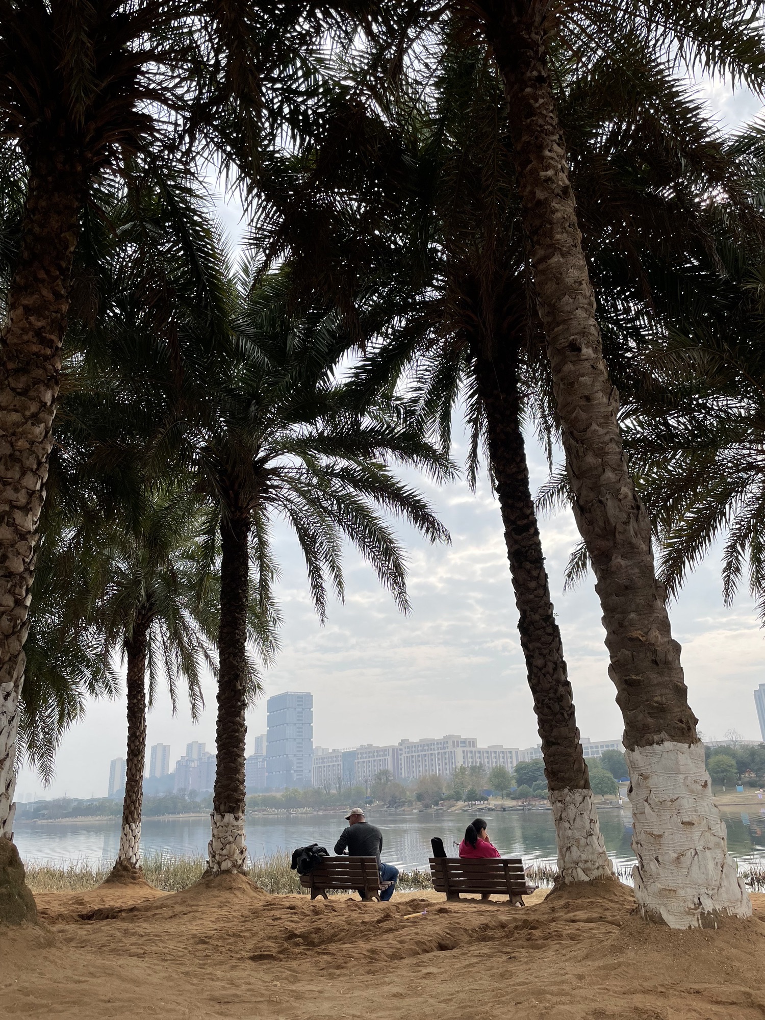 万丰湖湿地公园旅行图片 2
