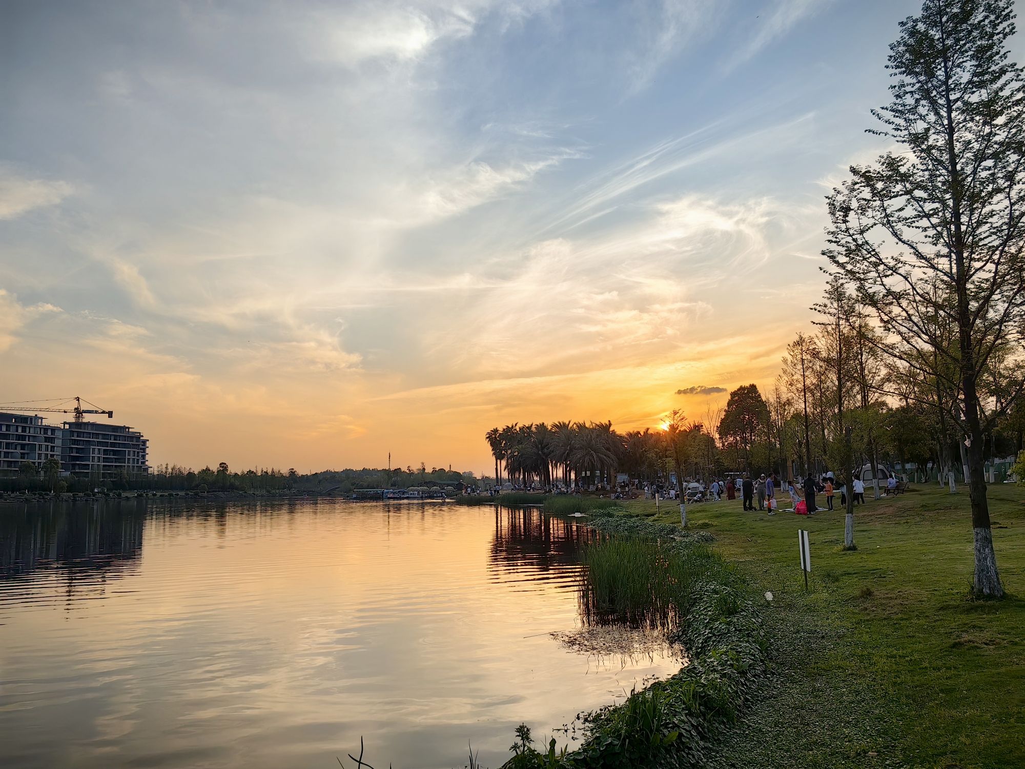 万丰湖湿地公园旅行图片 1