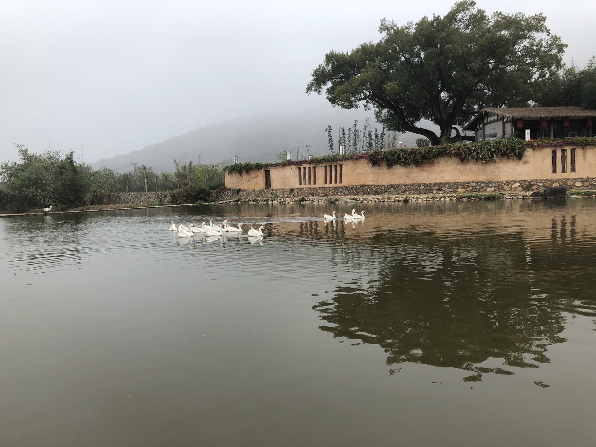 长泰龙人古琴文化村旅行图片 2