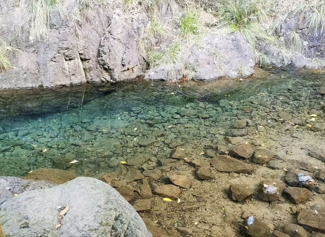 黄澋溪公园旅行图片 3