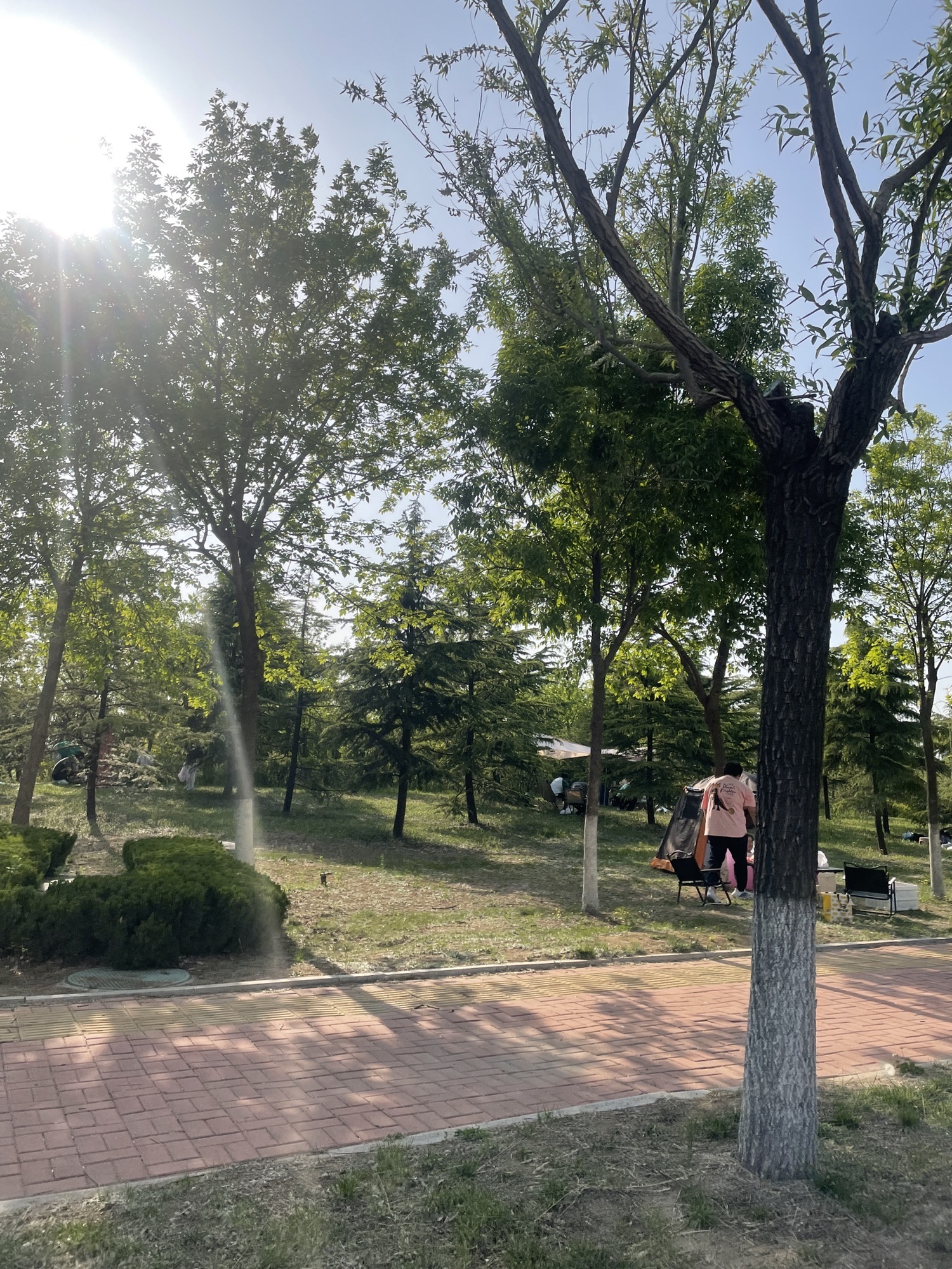 青岛澜湾艺术公园旅行图片 2